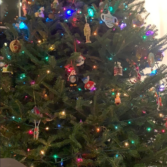 Meet your Posher, Katie - Picture 1 of 1